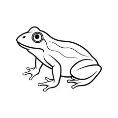 Naklejka premium Frog outline illustration art for kids coloring page