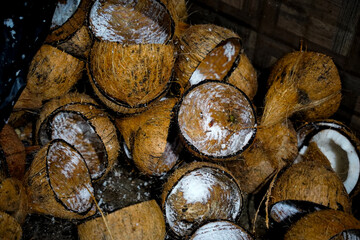 Coconut shell half cut with coconut coir