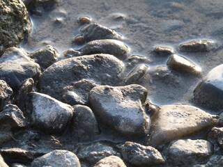 Obraz premium stones in the water