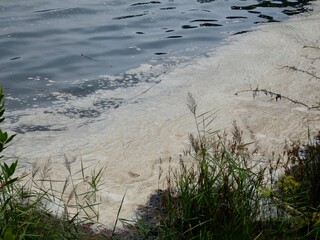 AGUAS CONTAMINADAS HACIENDO ESPUMA EN LA ORILLA