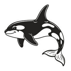 Obraz premium Orca Whale Vector Illustration Black and White Marine Life Design