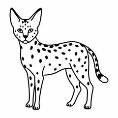 Obraz premium Elegant Black and White Serval Cat Line Art Illustration for Wildlife Design