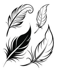 Obraz premium Feather Vector Illustrations with Minimalist Line Art.