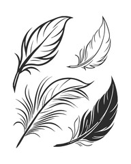 Obraz premium Feather Vector Illustrations with Minimalist Line Art.