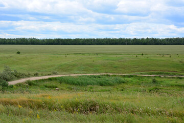 an agricultural field with a dirt road in the middle of it and sky with clouds