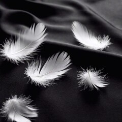 Obraz premium A black screen with a feather texture, adding a light, airy quality