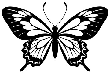 butterfly silhouette vector art illustration