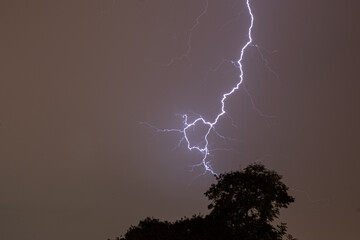 Lightning at evening sky looks like popping from a tree top