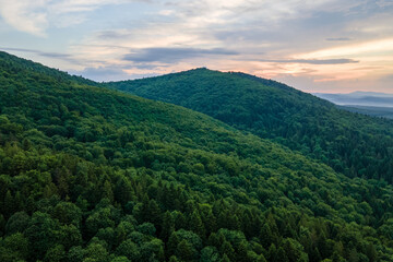 Fototapeta premium Aerial view of green pine forest with dark spruce trees covering mountain hills. Nothern woodland scenery from above