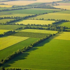 Naklejka premium aerial view of green fields and trees in the village