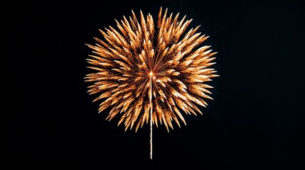 Obraz premium Vivid fireworks display exploding in the night sky, capturing the vibrant colors and festive atmosphere of celebration and joy.