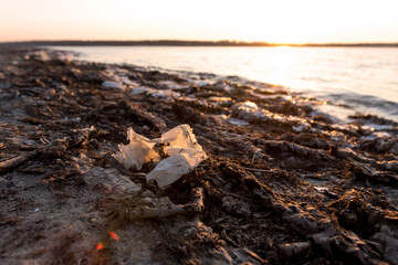 Discarded plastic bag on a sandy beach littered with roots and seaweed, highlighting the severe impact of plastic pollution on coastal areas. Ideal for environmental awareness and sustainability campa