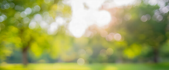 Obraz premium Blurred natural green abstract background. modern premium photo for poster banner, Created with Photoshop.