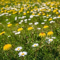 A full shot of a rolling meadow with butterflies and bees at eye level, filled with green grass and wildflowers under a bright blue sky.