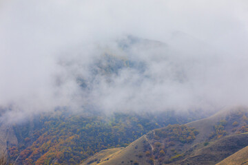 Autumn forest in the mountains