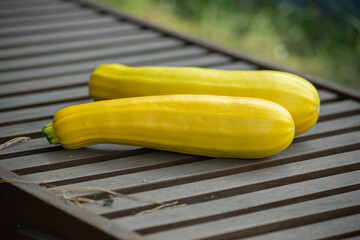 Two yellow zucchini lie on a wooden bench. High quality photo