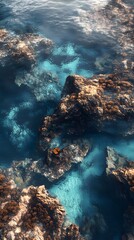 Obraz premium Aerial view of a coral reef, with blue water and brown algae. The camera is positioned above the ocean surface, capturing an expansive aerial perspective of underwater life.