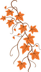 Obraz premium ivy plant drawing illustration.