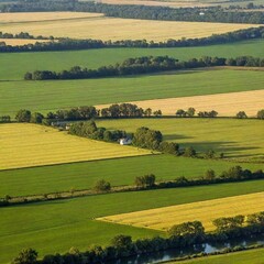 Obraz premium a tranquil landscape of a rolling countryside with patchwork fields in various shades of green and gold. Include a quaint farmhouse and a meandering river, with a clear sky dotted with fluffy clouds