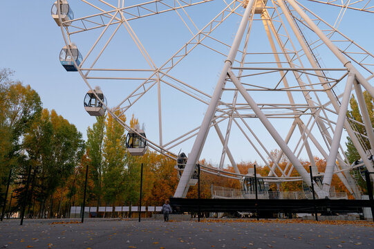 ferris wheel in the park
