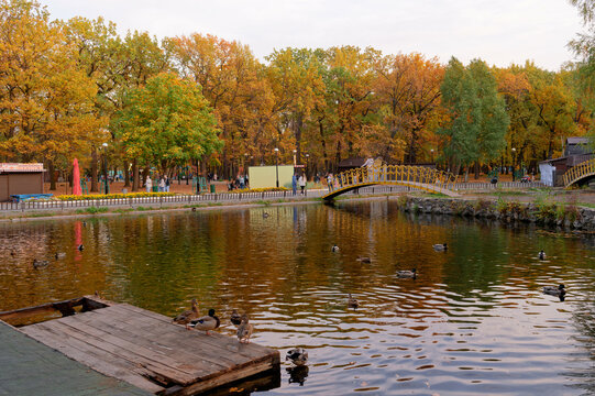 autumn in the park