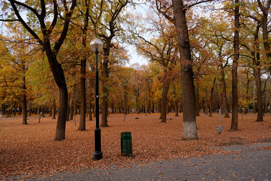 path in the park