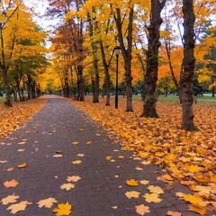 A eye-level medium shot of a vibrant autumn park trail covered in colorful leaves.