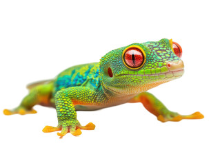 Fototapeta premium Vibrant gecko with striking red eyes and colorful scales on a white background.