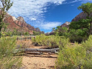 Zion Nationalpark in Utah