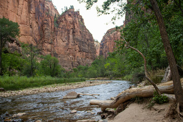 Riverside Walk im Zion Nationalpark in Utah