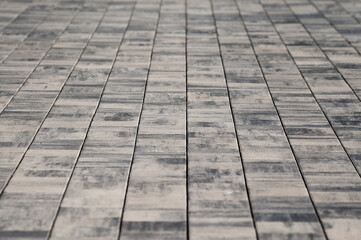 paving path made of gray decorative tiles