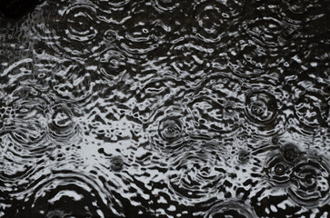 Rain Drop Water Background Texture
