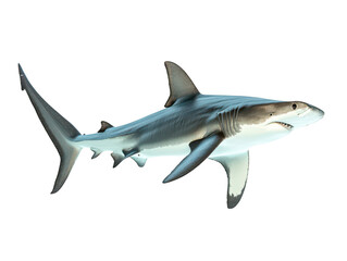 Great white shark swimming gracefully in the ocean's deep blue waters, showcasing its powerful structure and sharp features.