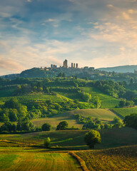 Obraz premium Panoramic view of chianti and vernaccia vineyards. San Gimignano. Tuscany, Italy