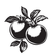 PomegranatesIn cartoon, hand-drawn flat style. image for social media, websites and UI. Isolated 2D vector design in logo, icon, sketch style, simple line vector, single color. AI Generative Art.