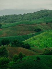 These are landscape photos, mountain views, boat photos, city center photos, and sea photos and sky