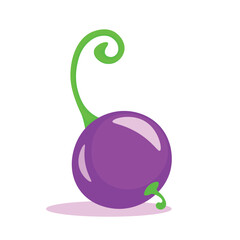 Currant is a berry that will decorate the dessert and fill it with aroma, sweet, vector, isolate, nature, violet, garden