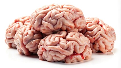 raw lamb brains isolated on white background