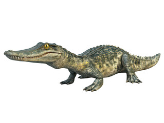 Realistic 3D rendered crocodile with textured scales and vivid details.