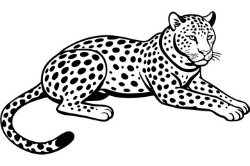 A leopard lies with its legs spread vector silhouette 