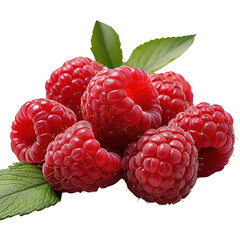 A bunch of red raspberries with green leaves