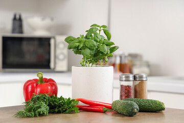 Fresh basil in pot with vegetables and spices on table in kitchen