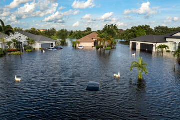 Obraz premium Flooding in Florida caused by tropical storm from hurricane Debby. Suburb houses in Laurel Meadows residential community surrounded by flood waters in Sarasota. Aftermath of natural disaster