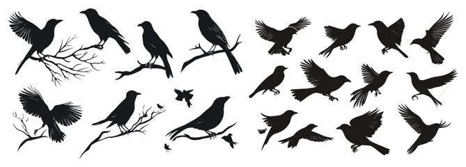 Set of black bird silhouettes, Birds icon set,Animals eagle hawk bird fly swoop attack silhouette set collection