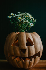 Teenager girl holding carved Halloween pumpkin with flowers inside, close up