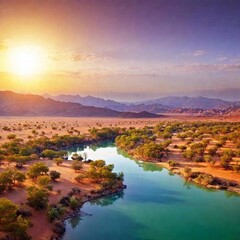 Obraz premium sunset in the desert