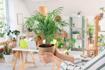 Young woman holding houseplant at home, closeup