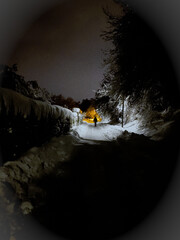 nocturnal winter walk