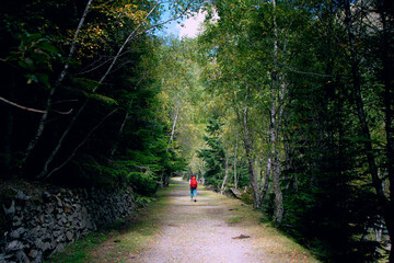 Senderista andando en bosque verde