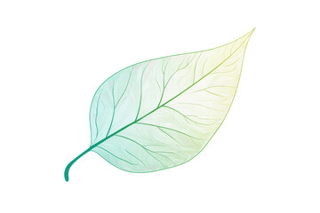 Close-up of a single leaf with intricate vein patterns. The leaf is vibrant, showcasing a blend of green and yellow hues against a white backdrop.